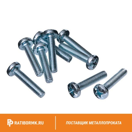Винт нержавеющий М3х8 мм TORX-10 А4 DIN 965